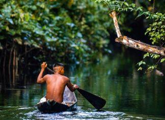 Detener la pérdida de la biodiversidad requiere una acción integrada entre la ciencia y la naturaleza
