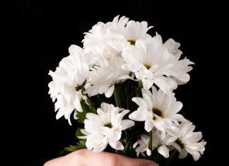 Seguros “first to die” Y “last to die”: ¿cuál es ideal para ti y tu familia?