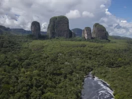 La Orinoquía, ecoturismo para vivir la naturaleza en estado puro