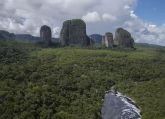 La Orinoquía, ecoturismo para vivir la naturaleza en estado puro