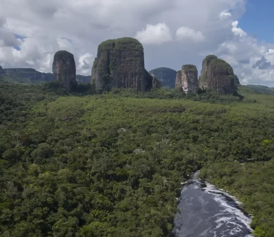 La Orinoquía, ecoturismo para vivir la naturaleza en estado puro