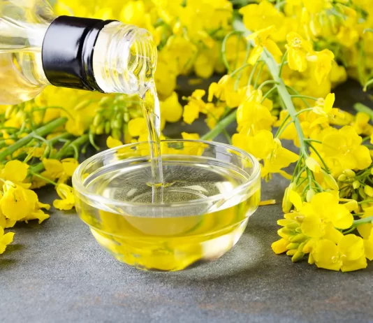 China impone arancel del 75,8 % al canola canadiense: un golpe duro al sector agrícola