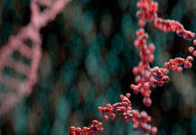 Avances prometedores de CRISPR para potenciar la inmunoterapia en cáncer