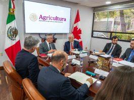 Canadá se Sobrepuso a los Aranceles de Trump: Nuevos Mercados, Nuevas Estrategias y Resultados Concretos