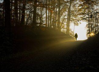 ALGO MÁS QUE PALABRAS