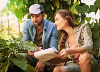 INMIGRANDO A CANADÁ. Los programas rurales, una vía efectiva hacia la residencia permanente