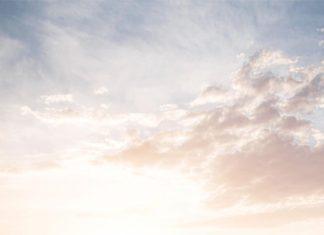 Nuestro patrimonio natural: la inmensa virtud de la vida campestre