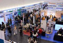 Impulsa 2026, un espacio para el empleo profesional