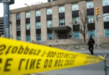 La violencia tras la ventana