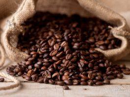 Nicaragua: Exportaciones de café superan los 900 millones de dólares