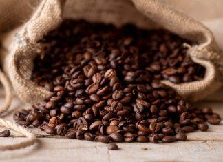 Nicaragua: Exportaciones de café superan los 900 millones de dólares