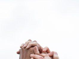Dar fuerza a la verdad y a la bondad; sólo así podremos ser felices