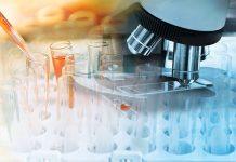 Estudio predictivo sobre el cáncer en Canadá