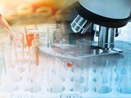 Estudio predictivo sobre el cáncer en Canadá