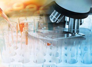 Estudio predictivo sobre el cáncer en Canadá