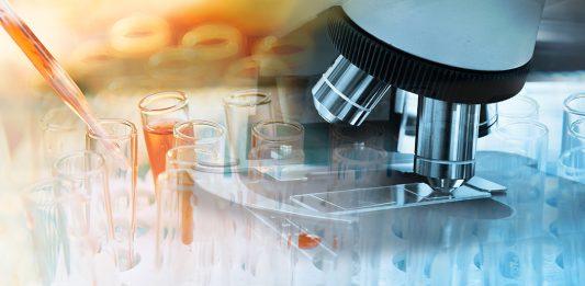 Estudio predictivo sobre el cáncer en Canadá