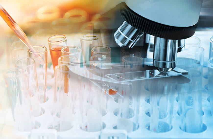 Estudio predictivo sobre el cáncer en Canadá