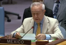México aboga por transformación a fondo de Consejo de Seguridad