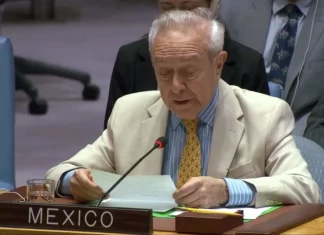 México aboga por transformación a fondo de Consejo de Seguridad