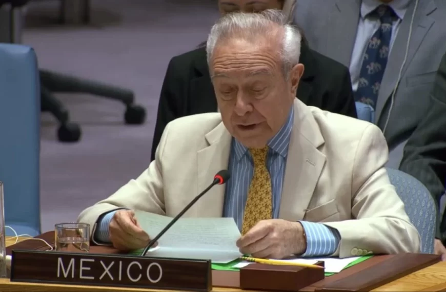 México aboga por transformación a fondo de Consejo de Seguridad