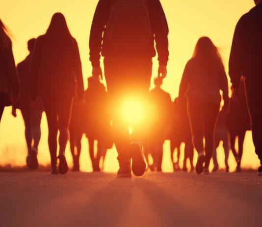 ALGO MÁS QUE PALABRAS. De la supervivencia que nos vincula a las oportunidades incluyentes