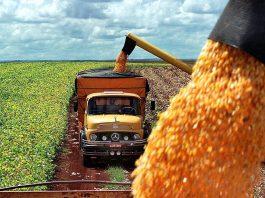 Brasil prevé cosecha récord de granos