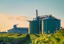 Agroindustria pilar clave de la economía argentina