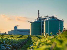 Agroindustria pilar clave de la economía argentina