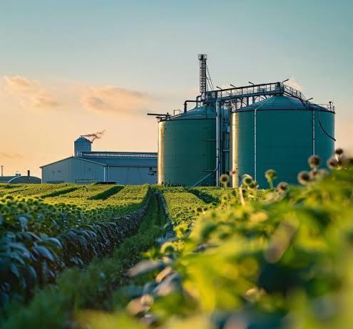 Agroindustria pilar clave de la economía argentina