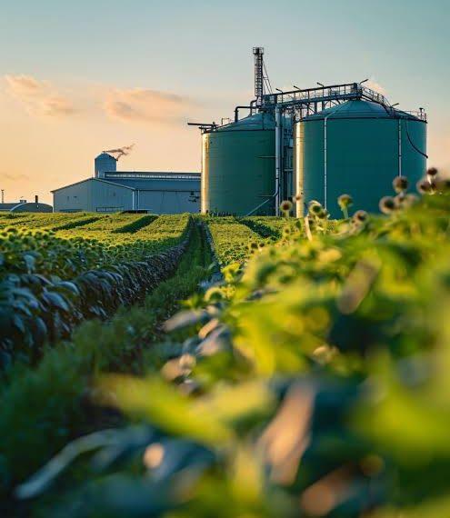 Agroindustria pilar clave de la economía argentina