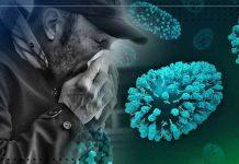 Chile declara alerta sanitaria por el hantavirus