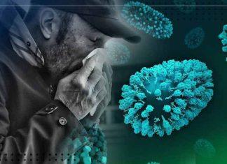 Chile declara alerta sanitaria por el hantavirus
