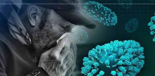 Chile declara alerta sanitaria por el hantavirus