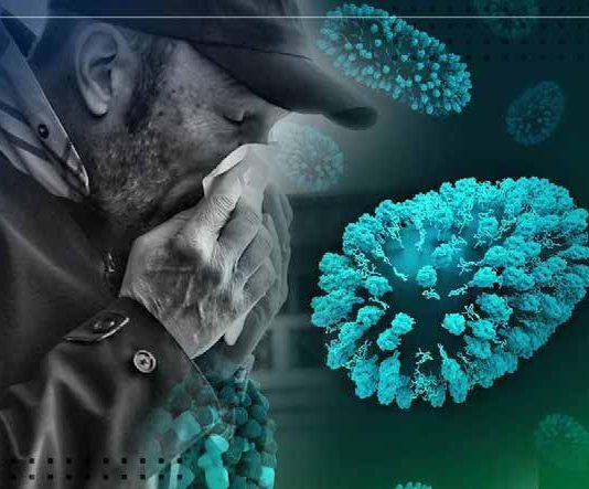 Chile declara alerta sanitaria por el hantavirus