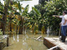 Fenómeno El Niño amenaza millones de hectáreas de cultivos en Ecuador