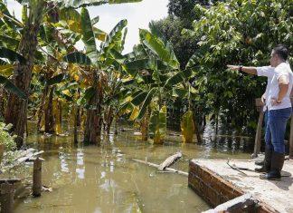 Fenómeno El Niño amenaza millones de hectáreas de cultivos en Ecuador