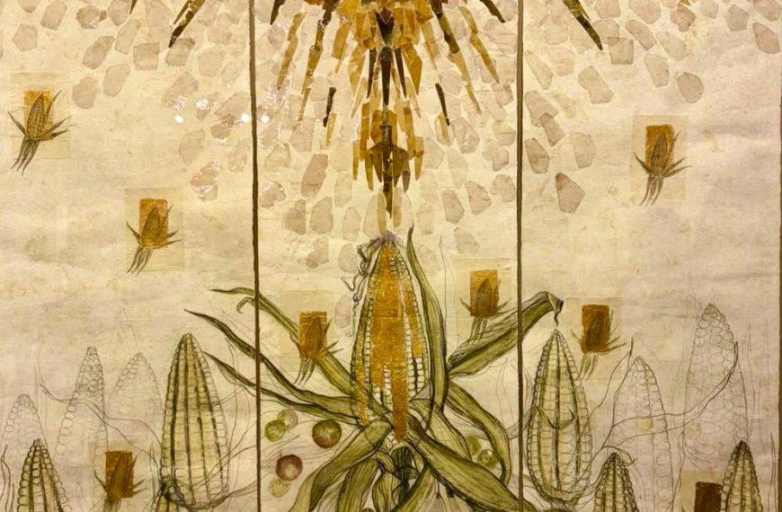 Desde las semillas. Una exposición que honra un legado ancestral