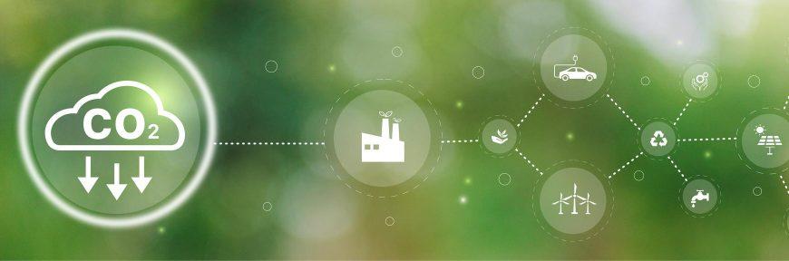 Carbono: mercado y medio ambiente