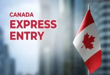 Express Entry: Canadá vuelve a otorgar puntos por determinadas ofertas de empleo