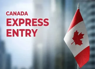 Express Entry: Canadá vuelve a otorgar puntos por determinadas ofertas de empleo