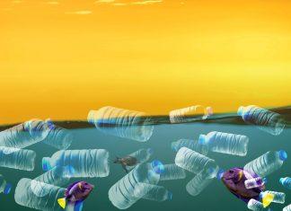 El futuro es un mar de deterioros, un oleaje incesante de catástrofes