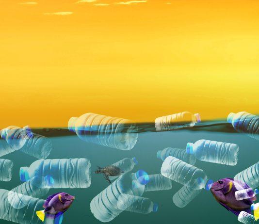 El futuro es un mar de deterioros, un oleaje incesante de catástrofes